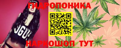 ПСИЛОЦИБИНОВЫЕ ГРИБЫ Краснознаменск