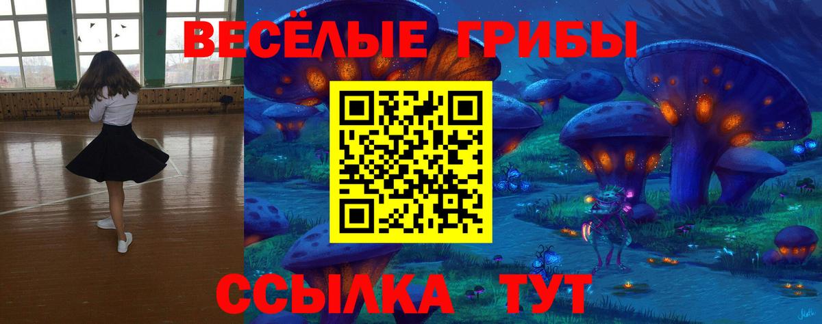 Псилоцибиновые грибы Югорск